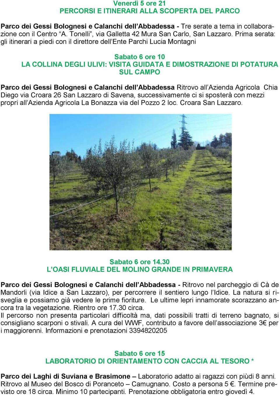 Prima serata: gli itinerari a piedi con il direttore dell Ente Parchi Lucia Montagni Sabato 6 ore 10 LA COLLINA DEGLI ULIVI: VISITA GUIDATA E DIMOSTRAZIONE DI POTATURA SUL CAMPO Parco dei Gessi