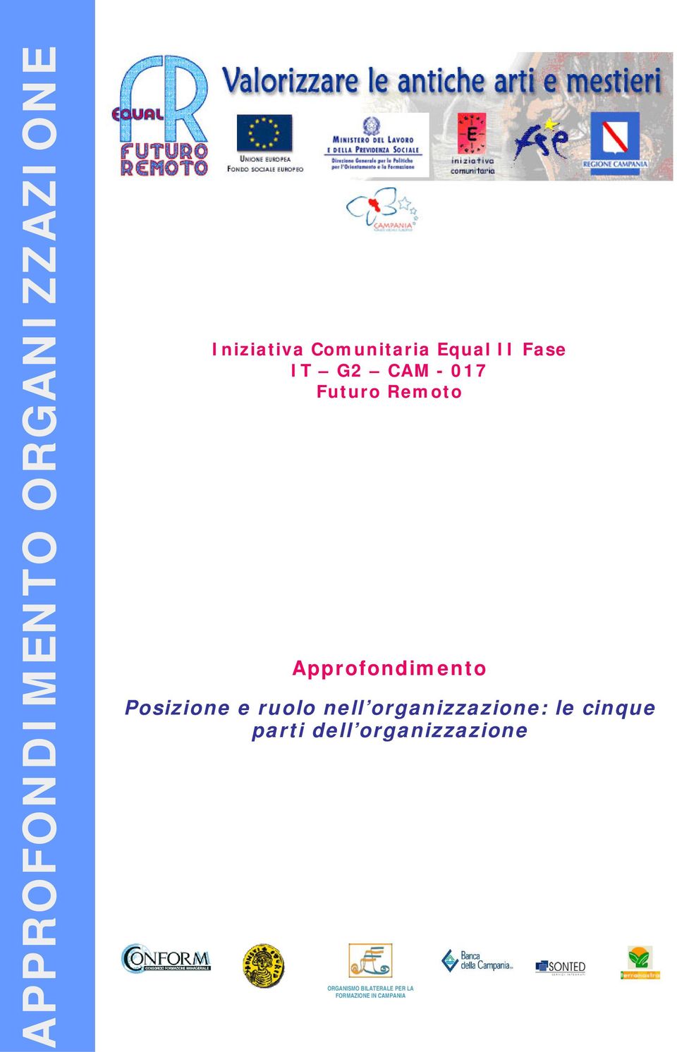 Posizione e ruolo nell organizzazione: le cinque parti dell