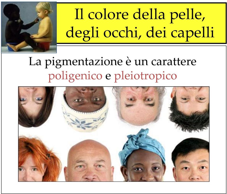 La pigmentazione è un