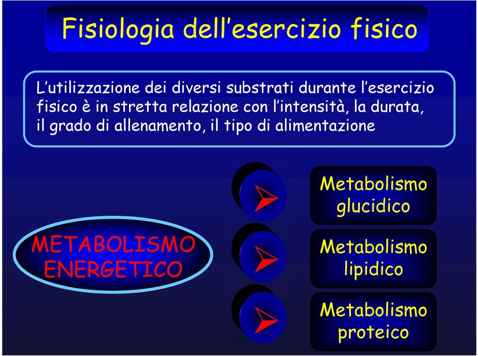 durata, il grado di allenamento, il tipo di alimentazione METABOLISMO