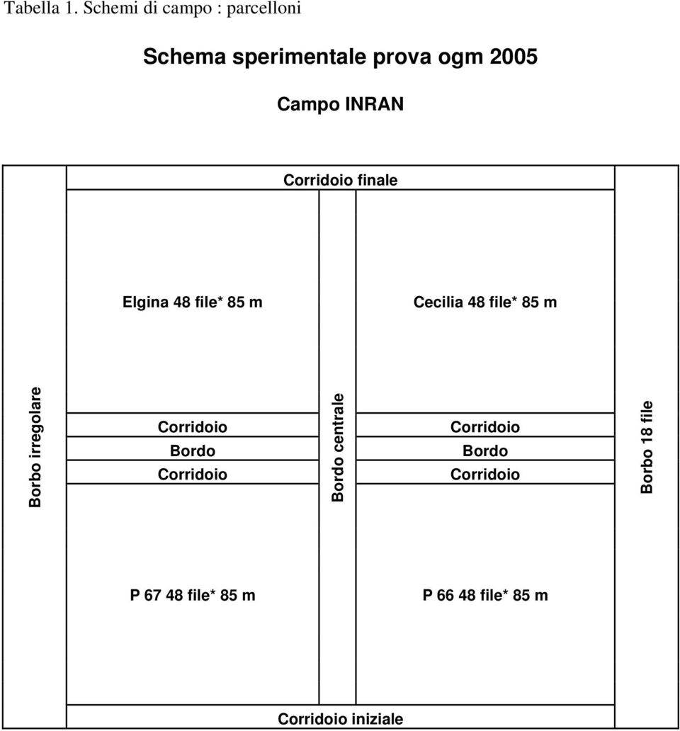 Corridoio finale Elgina 48 file* 85 m Cecilia 48 file* 85 m Borbo