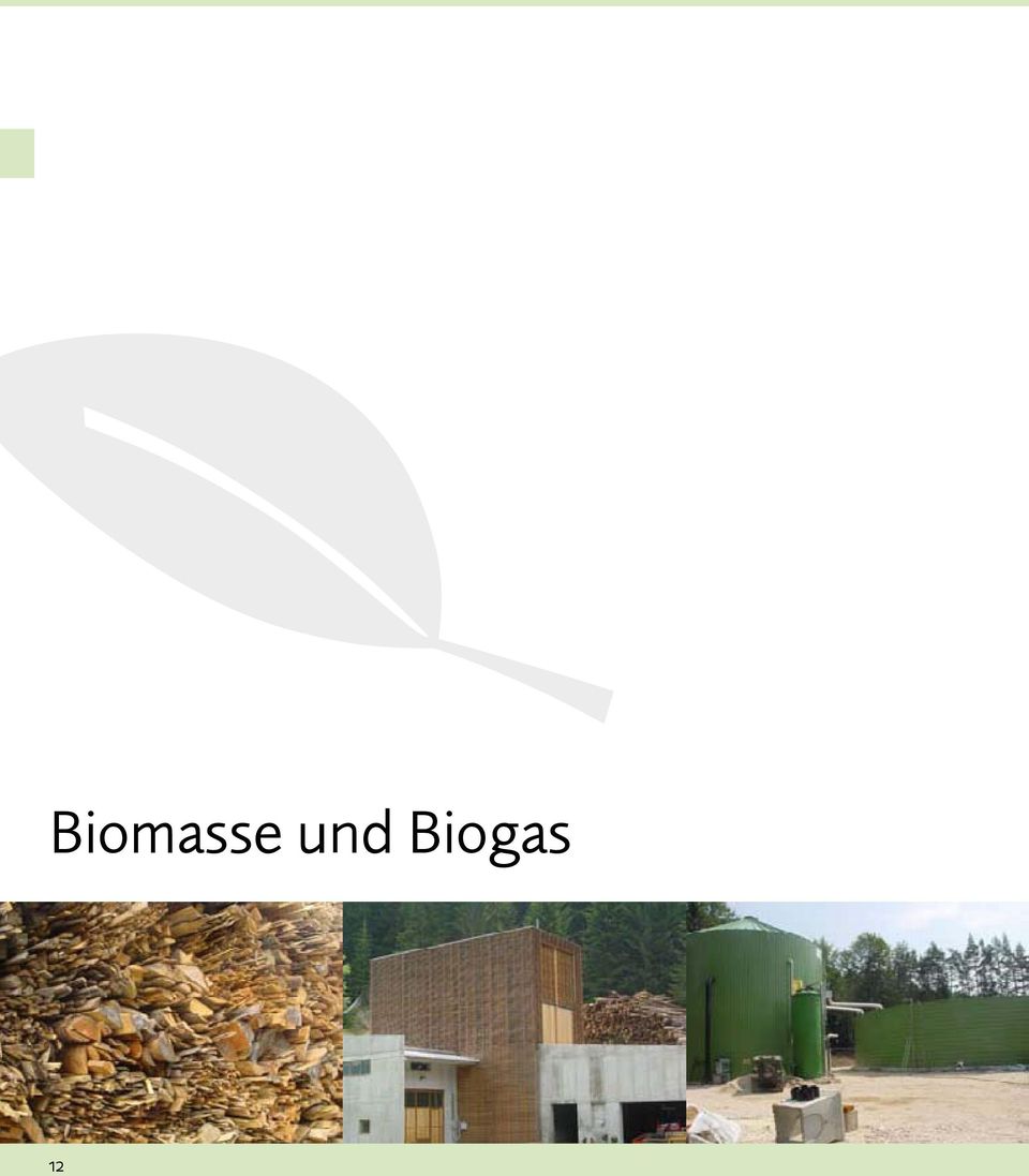 Biogas 12