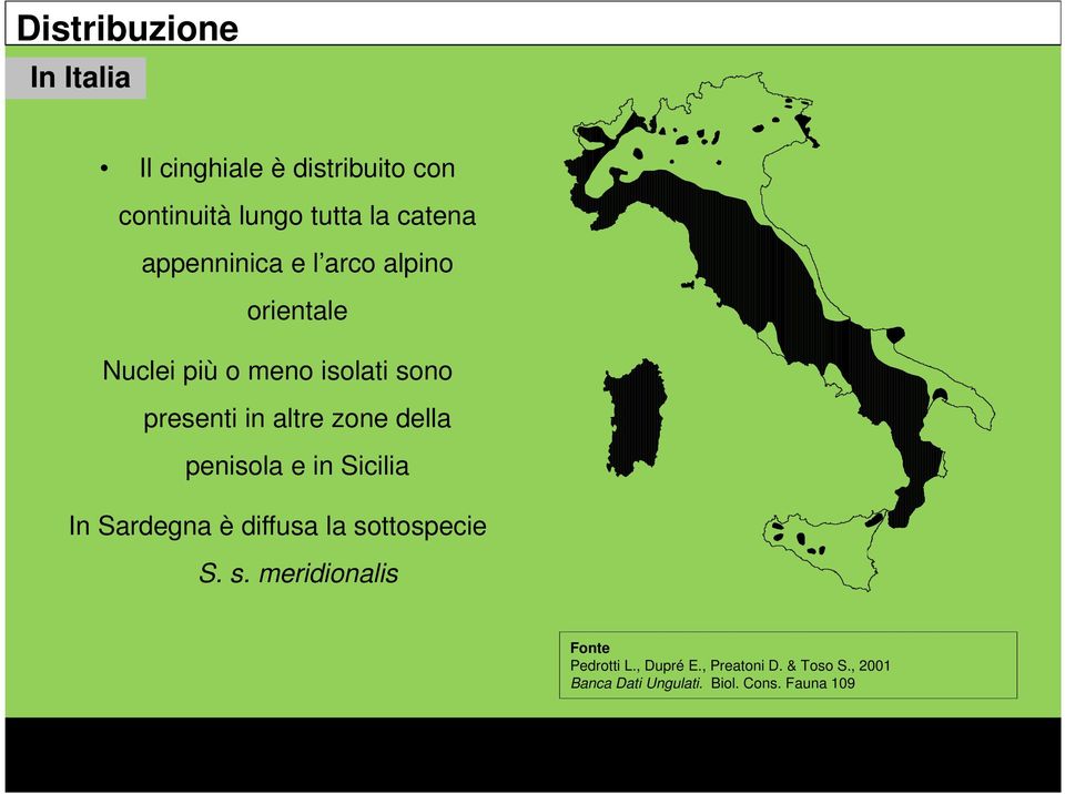 zone della penisola e in Sicilia In Sardegna è diffusa la sottospecie S. s. meridionalis Fonte Pedrotti L.