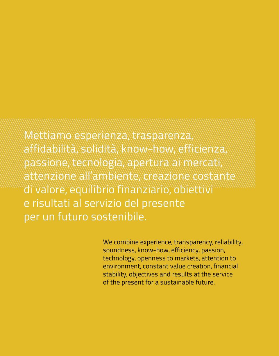 We combine experience, transparency, reliability, soundness, know-how, efficiency, passion, technology, openness to markets, attention to