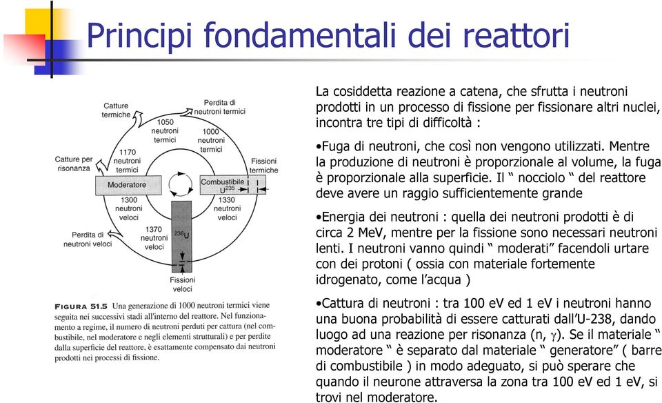 Il nocciolo del reattore deve avere un raggio sufficientemente grande Energia dei neutroni : quella dei neutroni prodotti è di circa 2 MeV, mentre per la fissione sono necessari neutroni lenti.