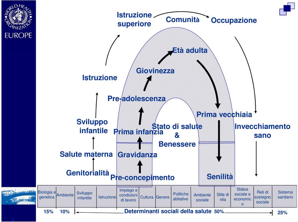 genetica Ambiente Sviluppo infantile Istruzione Impiego e condizioni di lavoro Cultura Genere Politiche abitative Ambiente sociale