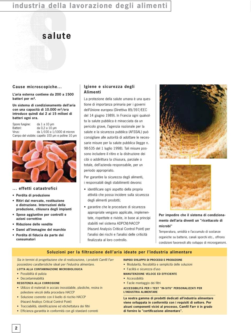 Spore fungine: da 1 a 10 μm Batteri: da 0,2 a 10 μm Virus: da 1/100 a 1/1000 di micron Campo del visibile: capello 100 μm e polline 10 μm.