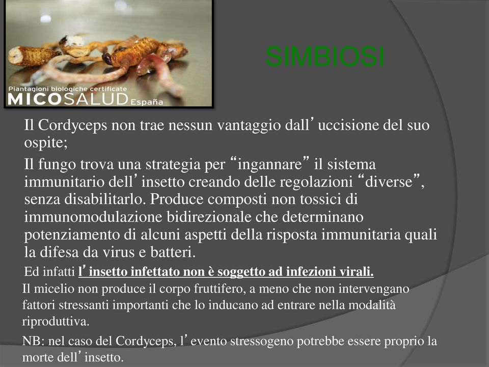 Produce composti non tossici di immunomodulazione bidirezionale che determinano potenziamento di alcuni aspetti della risposta immunitaria quali la difesa da virus e batteri.