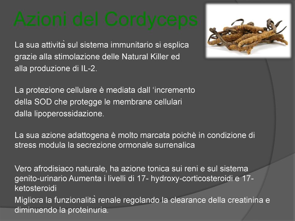 La sua azione adattogena e molto marcata poichè in condizione di stress modula la secrezione ormonale surrenalica Vero afrodisiaco naturale, ha azione tonica