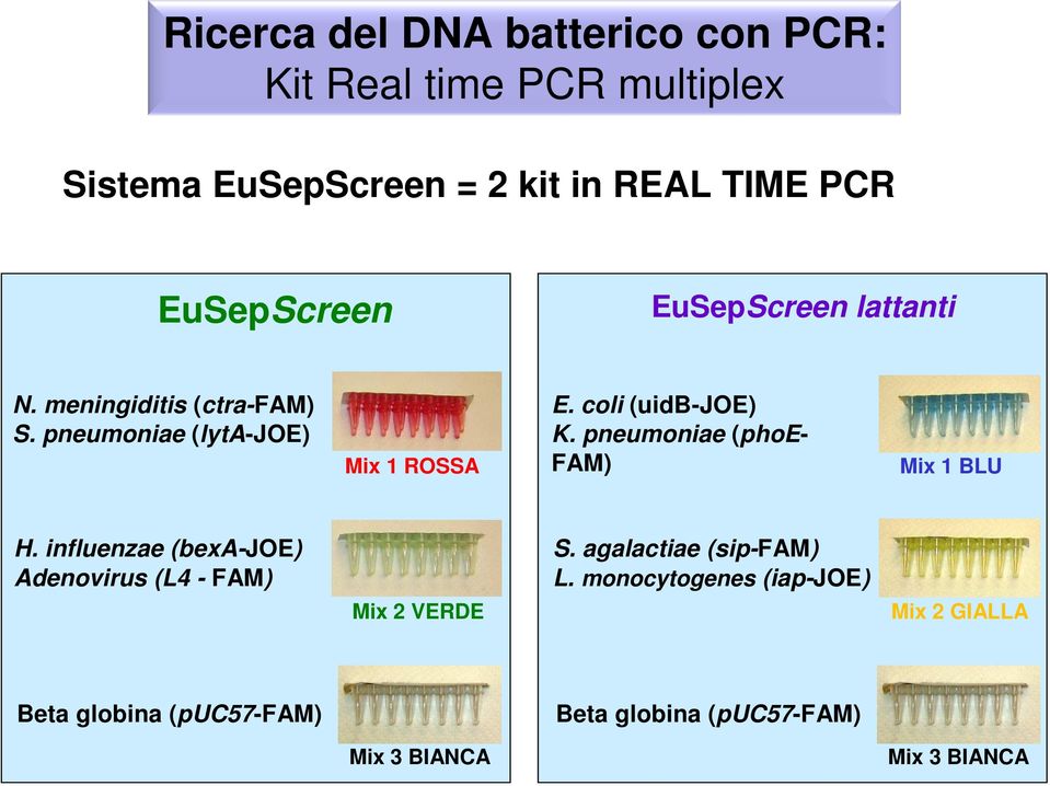 coli (uidb-joe) K. pneumoniae (phoe- FAM) Mix 1 BLU H. influenzae (bexa-joe) Adenovirus (L4 - FAM) Mix 2 VERDE S.