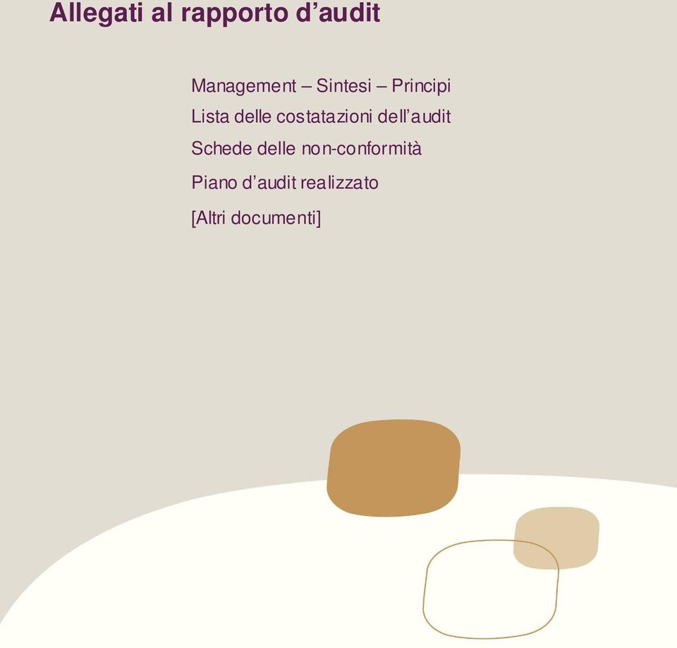 costatazioni dell audit Schede delle