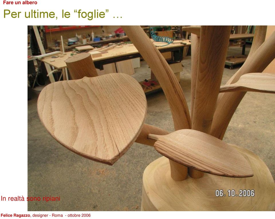 foglie In