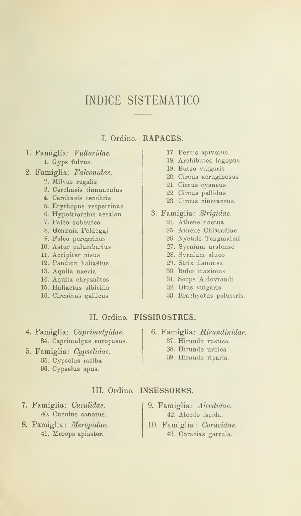 Haliaétus albicilla 16. Circaètus gallicus RAPACES. 17. Pernis apivorus 18. Archibuteo lagopus 19. Buteo vulgaris 20. Circus aeruginosus 21. Circus cyaneus 22. Circus pallidus 23. Circus cineraceus.