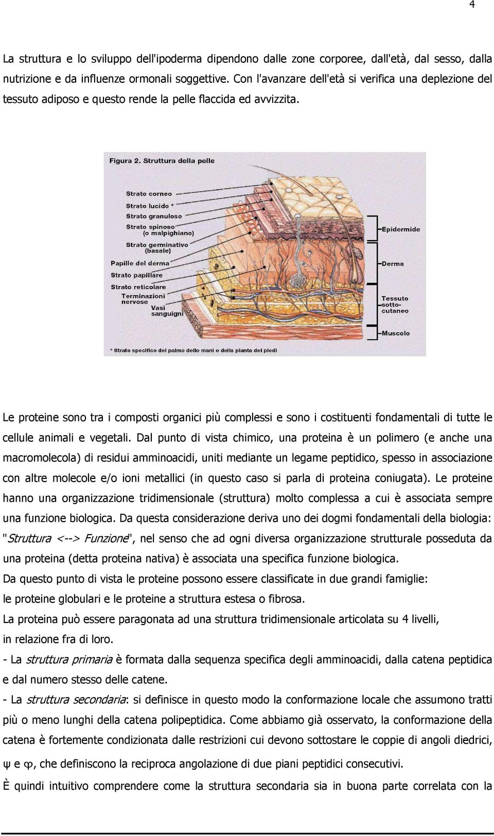 Le proteine sono tra i composti organici più complessi e sono i costituenti fondamentali di tutte le cellule animali e vegetali.