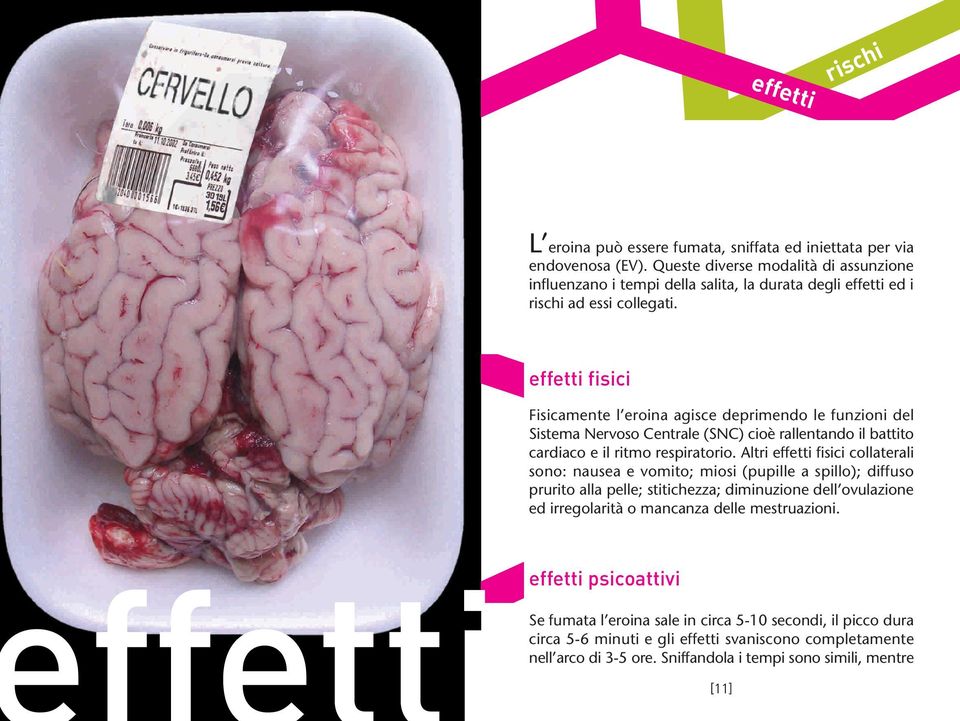 effetti fisici Fisicamente l eroina agisce deprimendo le funzioni del Sistema Nervoso Centrale (SNC) cioè rallentando il battito cardiaco e il ritmo respiratorio.