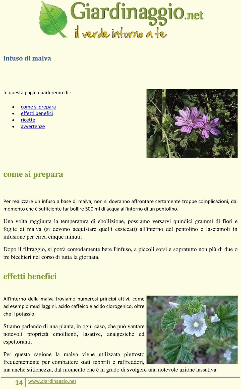 Una volta raggiunta la temperatura di ebollizione, possiamo versarvi quindici grammi di fiori e foglie di malva (si devono acquistare quelli essiccati) all'interno del pentolino e lasciamoli in