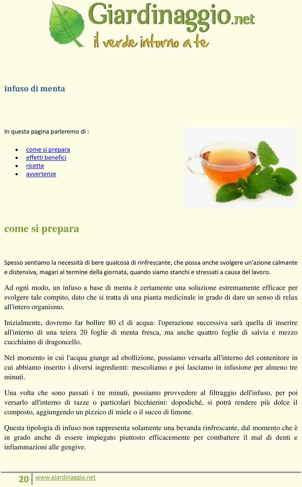 Ad ogni modo, un infuso a base di menta è certamente una soluzione estremamente efficace per svolgere tale compito, dato che si tratta di una pianta medicinale in grado di dare un senso di relax