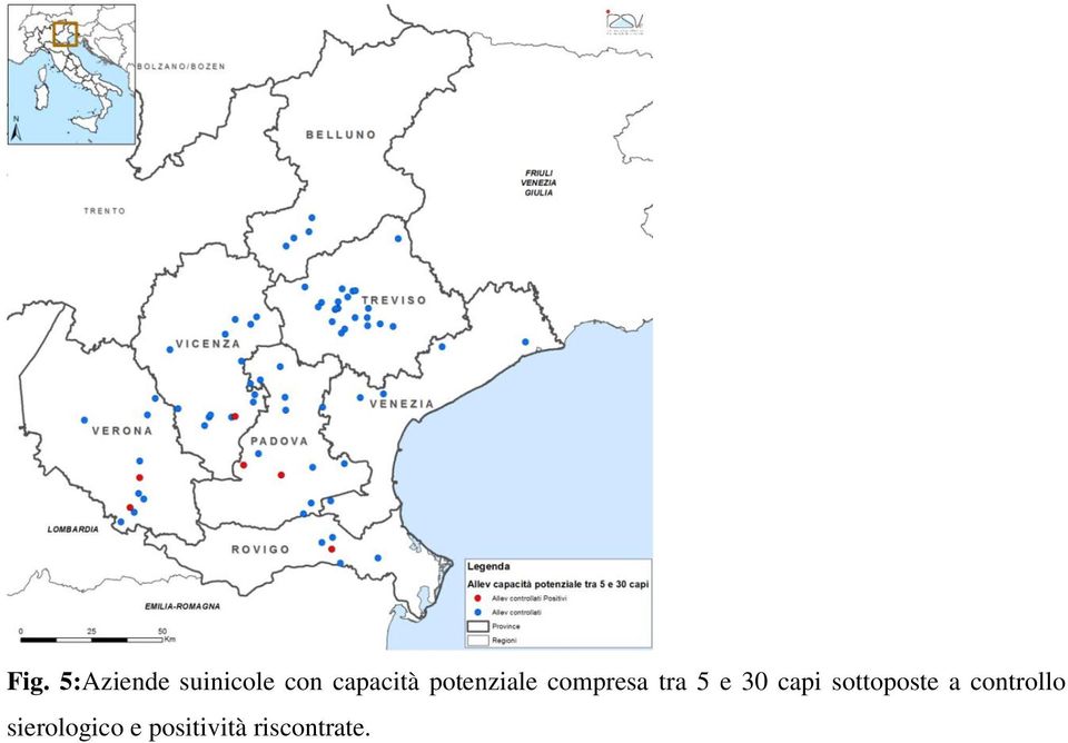 5 e 30 capi sottoposte a