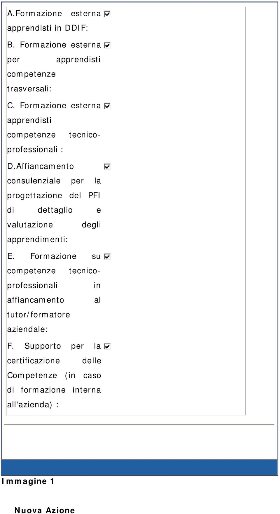 Affiancamento consulenziale per la progettazione del PFI di dettaglio e valutazione degli apprendimenti: E.