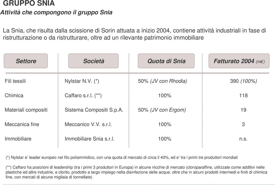 p.A. 50% (JV con Ergom) 19 Meccanica fine Meccanico V.V. s.