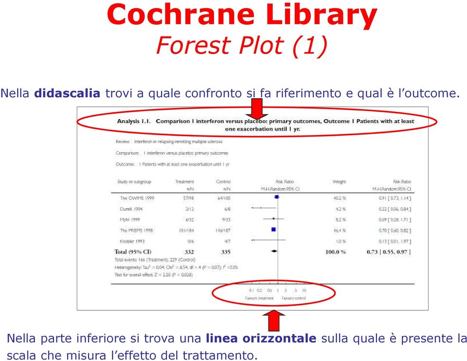 Nella parte inferiore si trova una linea orizzontale sulla