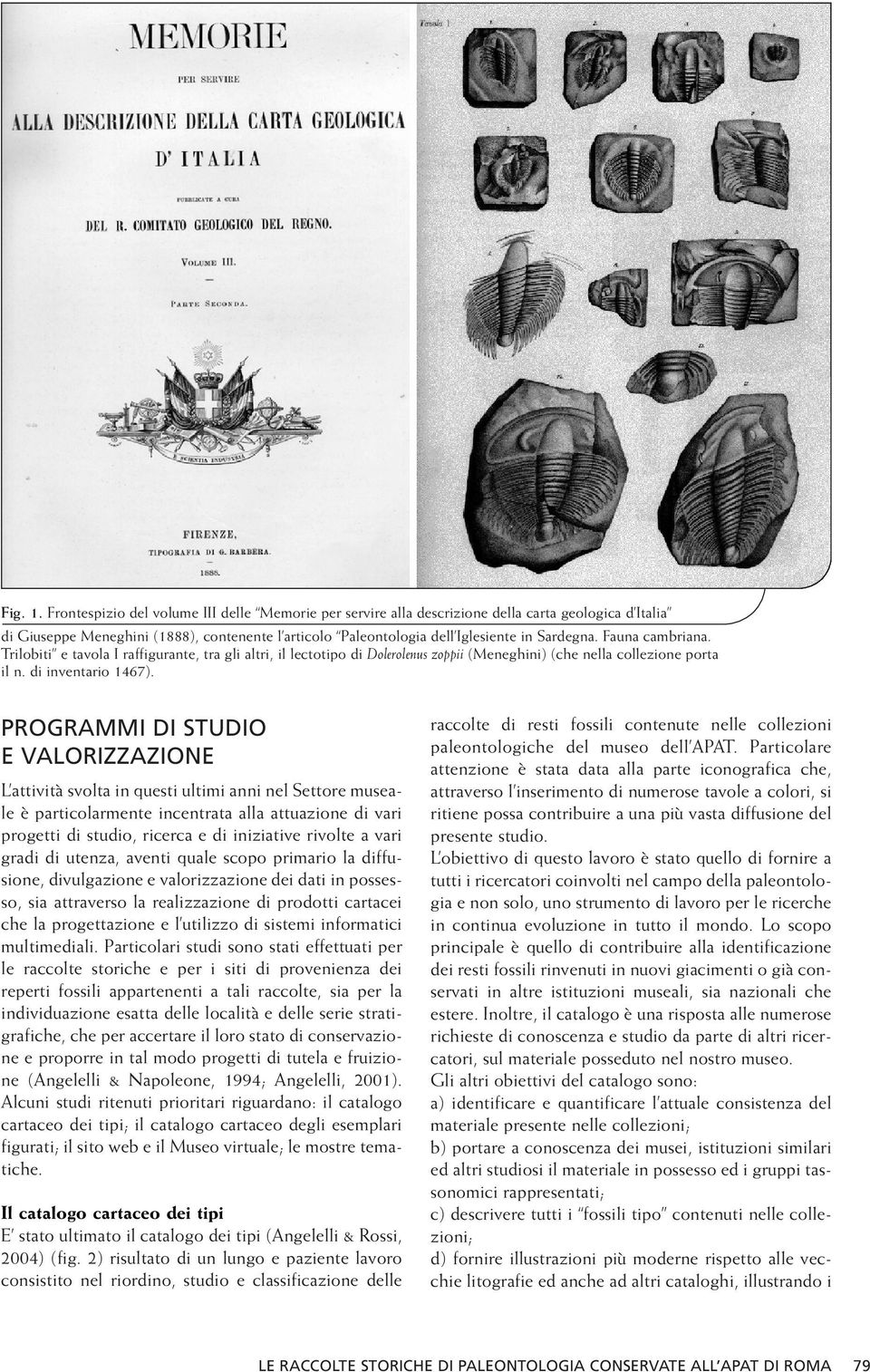 Fauna cambriana. Trilobiti e tavola I raffigurante, tra gli altri, il lectotipo di Dolerolenus zoppii (Meneghini) (che nella collezione porta il n. di inventario 1467).