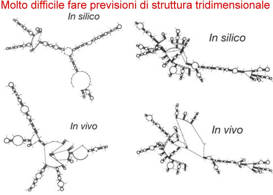 previsioni di