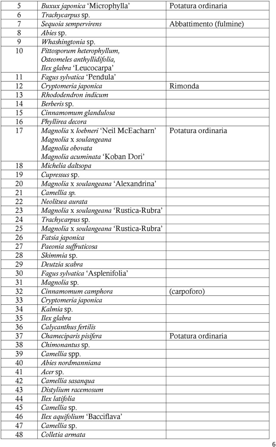 15 Cinnamomum glandulosa 16 Phyllirea decora 17 Magnolia x loebneri Neil McEacharn Potatura ordinaria Magnolia x soulangeana Magnolia obovata Magnolia acuminata Koban Dori 18 Michelia daltsopa 19