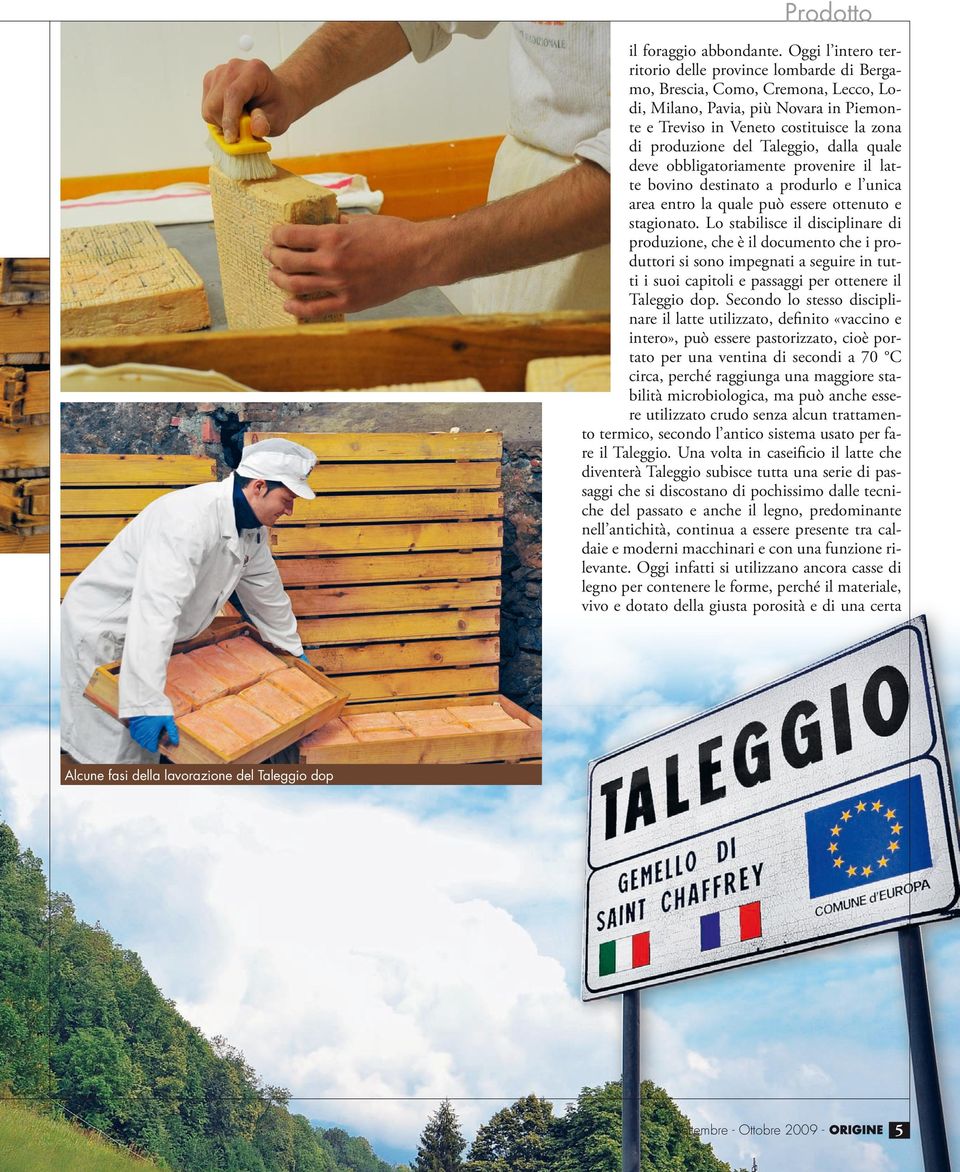 Taleggio, dalla quale deve obbligatoriamente provenire il latte bovino destinato a produrlo e l unica area entro la quale può essere ottenuto e stagionato.