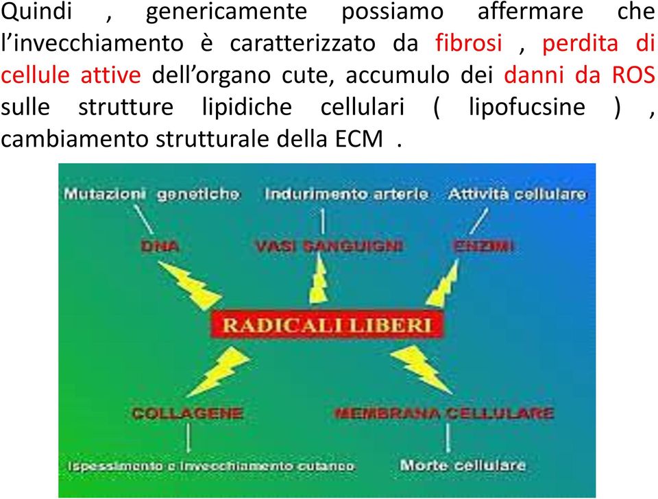 organo cute, accumulo dei danni da ROS sulle strutture