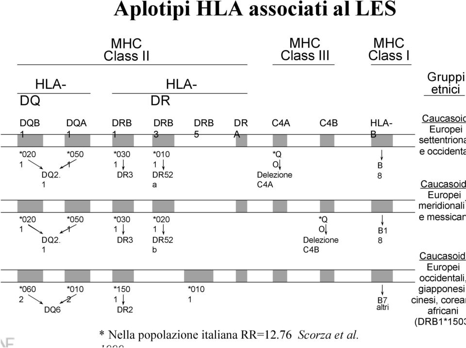 A MHC Class III MHC Class I C4A C4B HLA- B *Q O Delezione C4A *Q O Delezione C4B B 8 B1 8 *010 1 B7 altri * Nella popolazione italiana