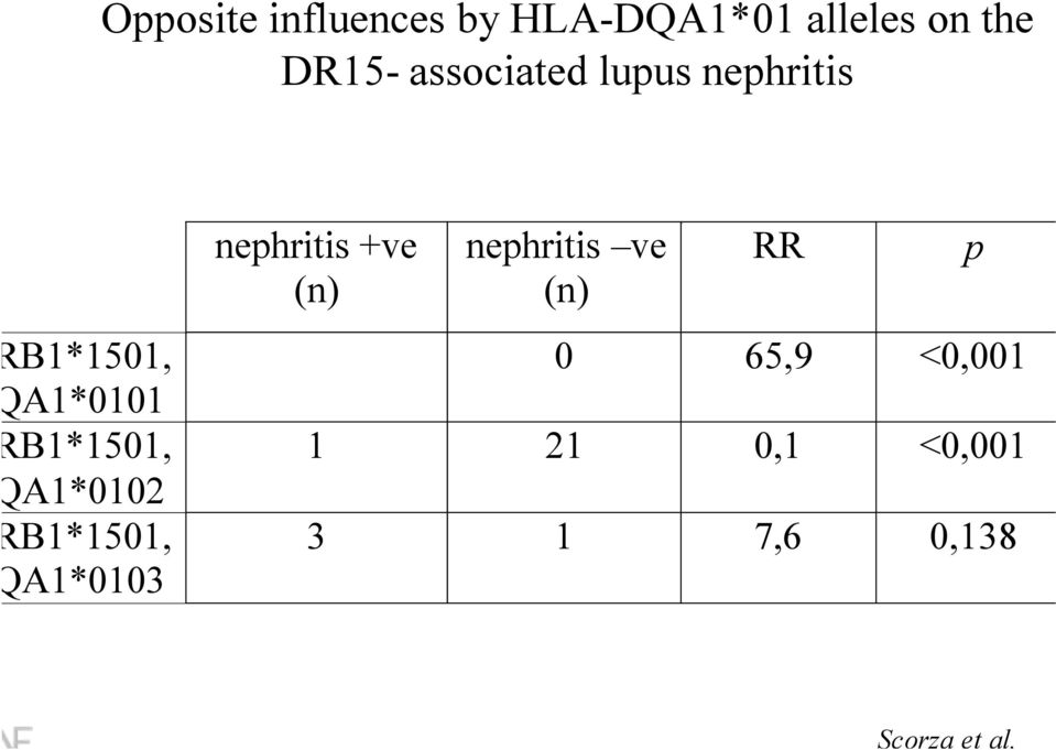 associated lupus nephritis B1*1501, A1*0101 B1*1501,