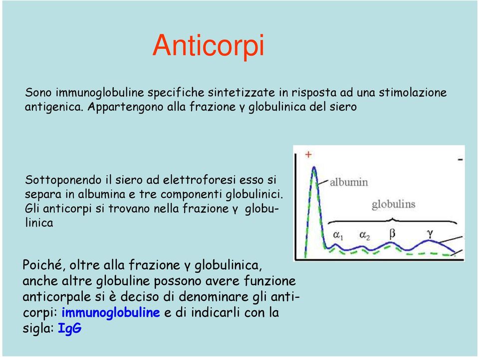 componenti globulinici.