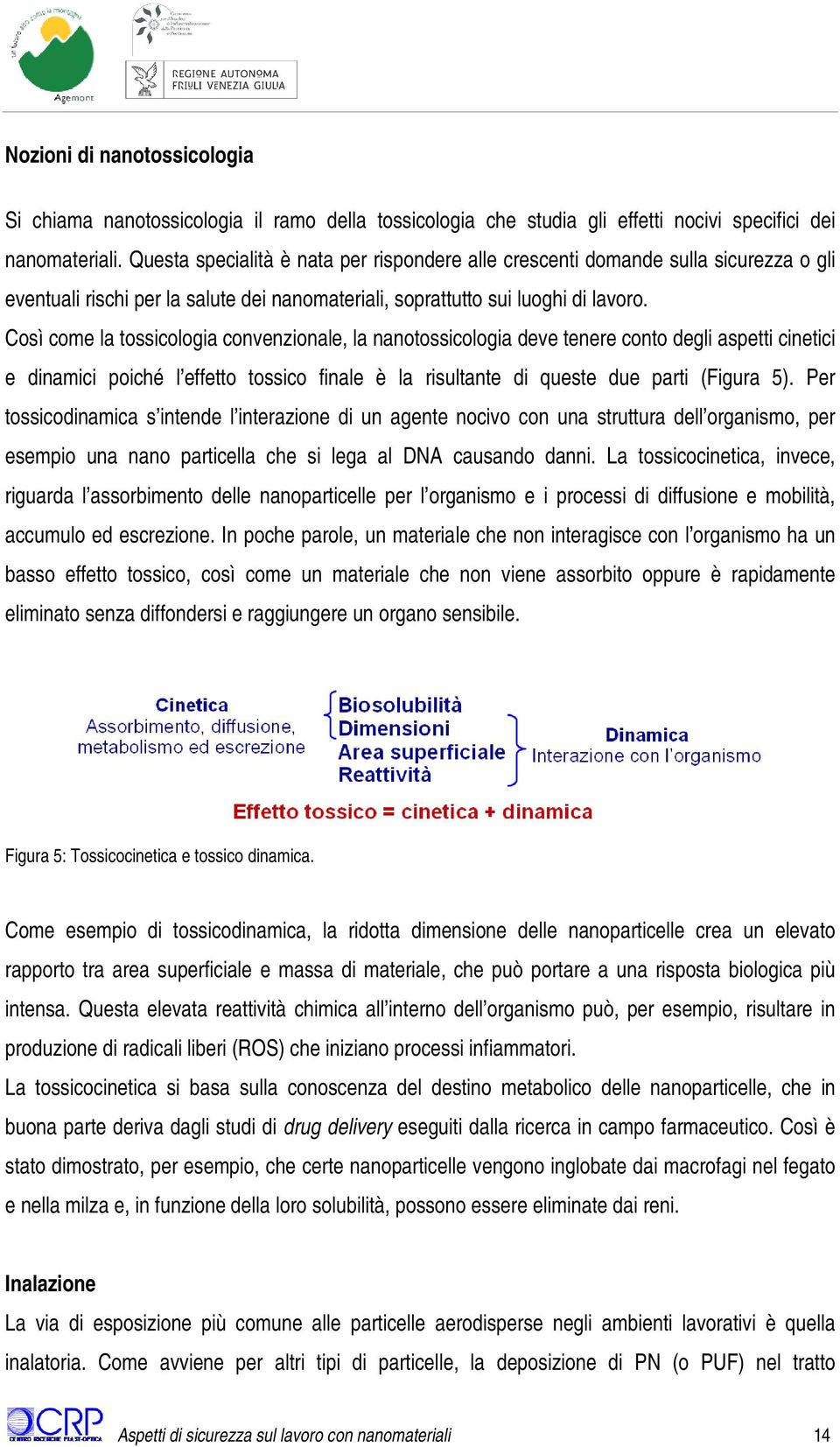 Così come la tossicologia convenzionale, la nanotossicologia deve tenere conto degli aspetti cinetici e dinamici poiché l effetto tossico finale è la risultante di queste due parti (Figura 5).