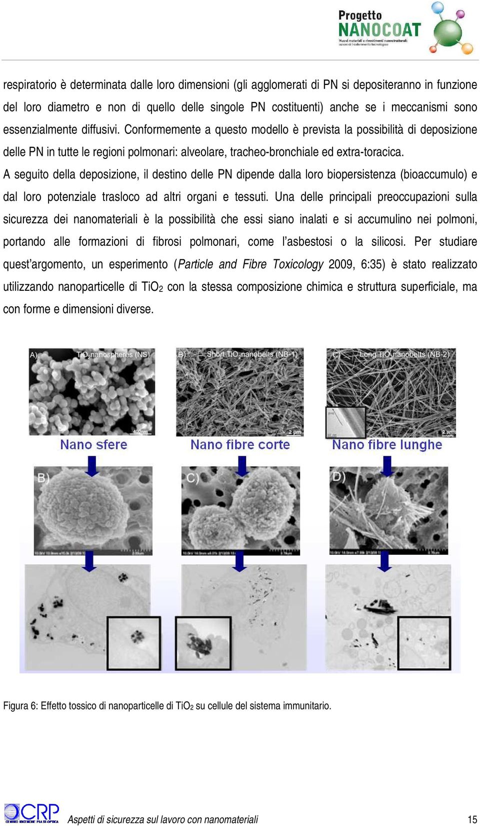 A seguito della deposizione, il destino delle PN dipende dalla loro biopersistenza (bioaccumulo) e dal loro potenziale trasloco ad altri organi e tessuti.