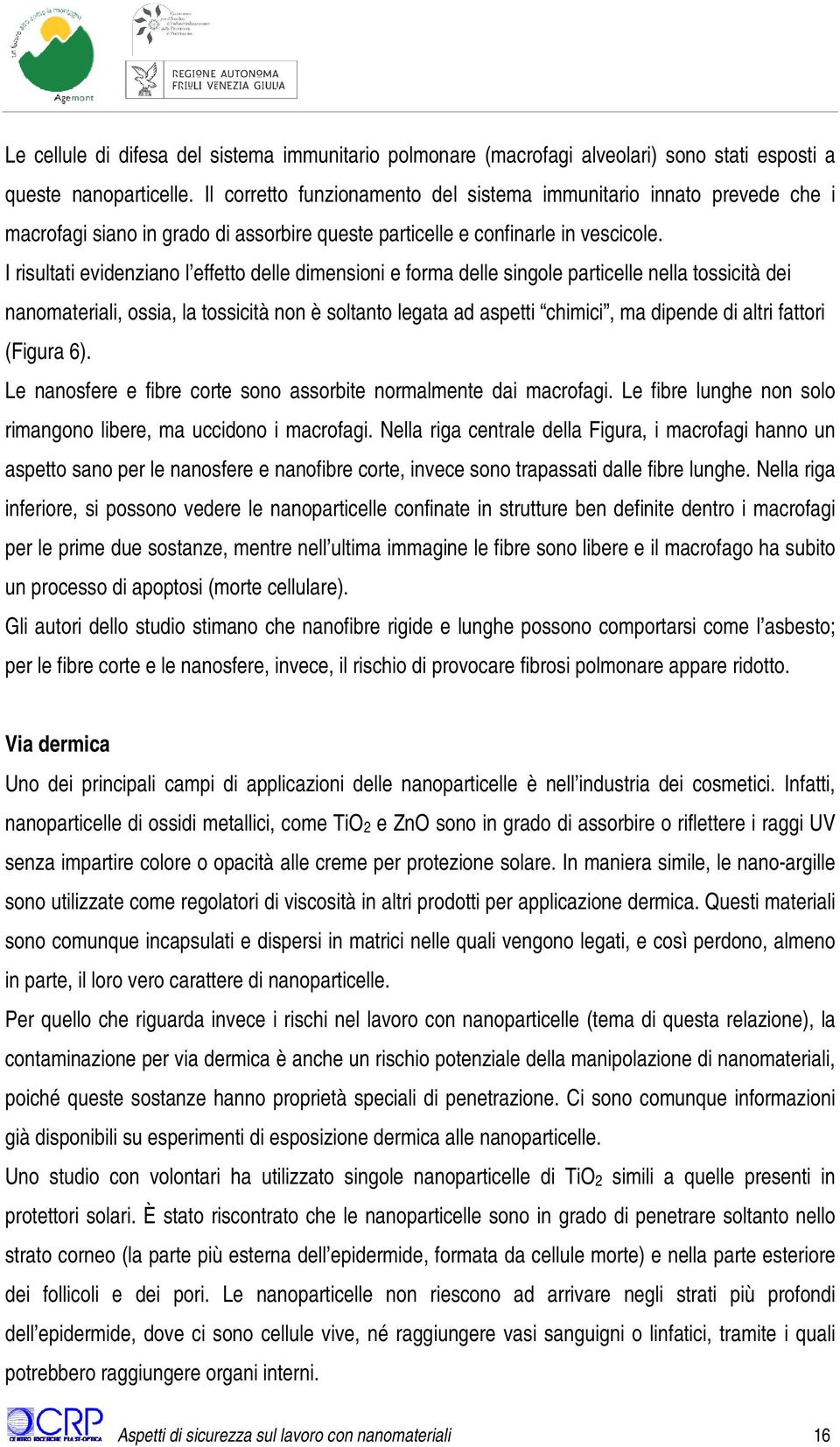 I risultati evidenziano l effetto delle dimensioni e forma delle singole particelle nella tossicità dei nanomateriali, ossia, la tossicità non è soltanto legata ad aspetti chimici, ma dipende di