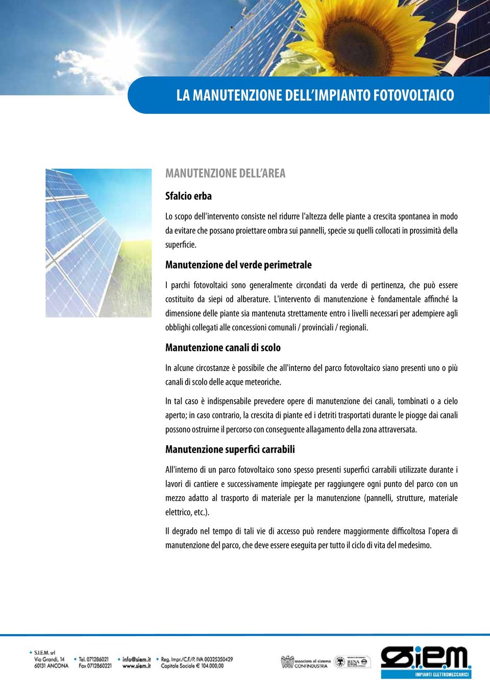 Manutenzione del verde perimetrale I parchi fotovoltaici sono generalmente circondati da verde di pertinenza, che può essere costituito da siepi od alberature.