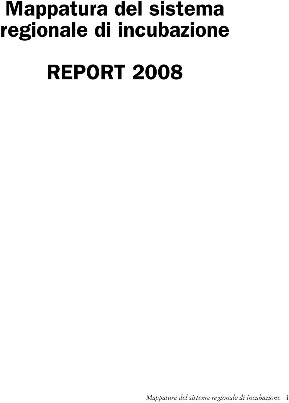 REPORT 2008   1