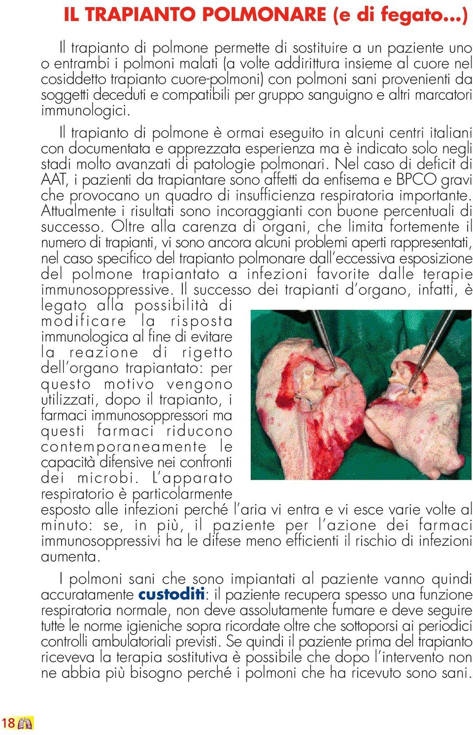 provenienti da soggetti deceduti e compatibili per gruppo sanguigno e altri marcatori immunologici.