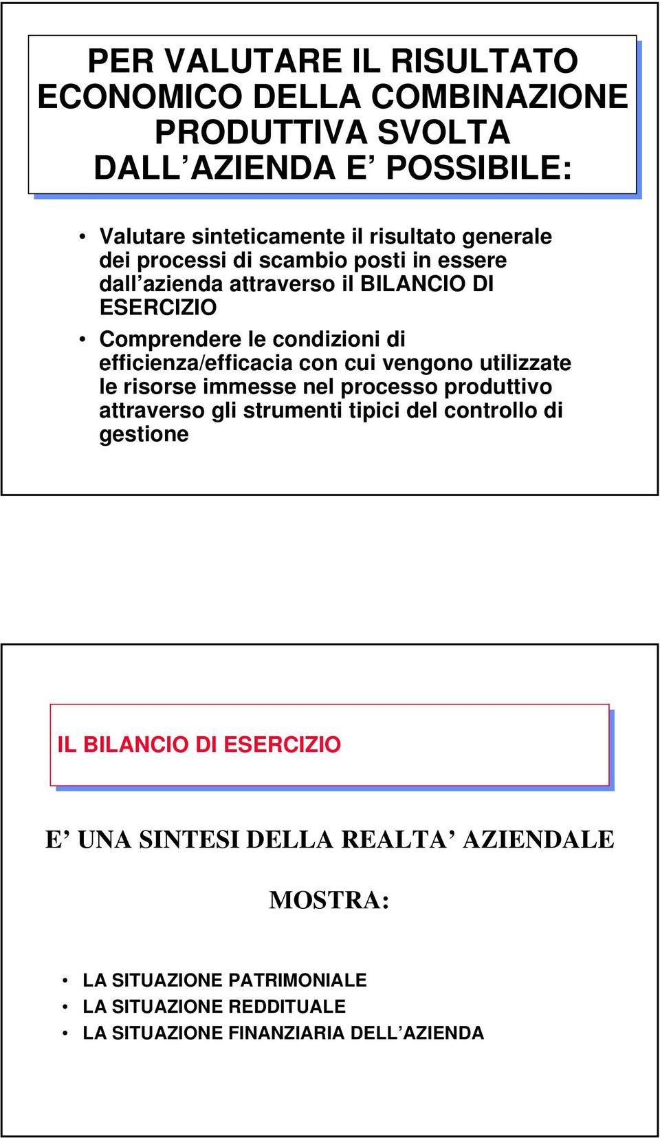 cui vengono utilizzate le risorse immesse nel processo produttivo attraverso gli strumenti tipici del controllo di gestione IL IL BILANCIO DI DI