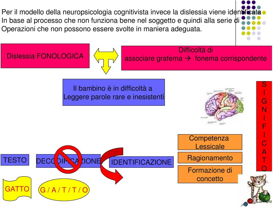 Dislessia FONOLOGICA Difficoltà di associare grafema fonema corrispondente Il bambino è in difficoltà a Leggere parole rare e