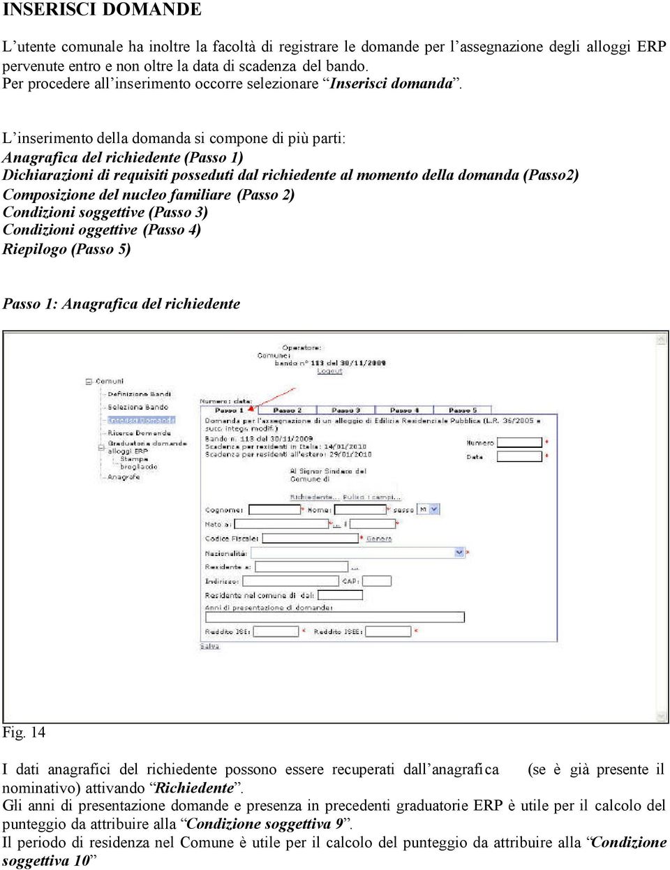 L inserimento della domanda si compone di più parti: Anagrafica del richiedente (Passo 1) Dichiarazioni di requisiti posseduti dal richiedente al momento della domanda (Passo2) Composizione del