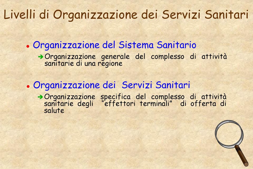 una regione Organizzazione dei Servizi Sanitari Organizzazione specifica