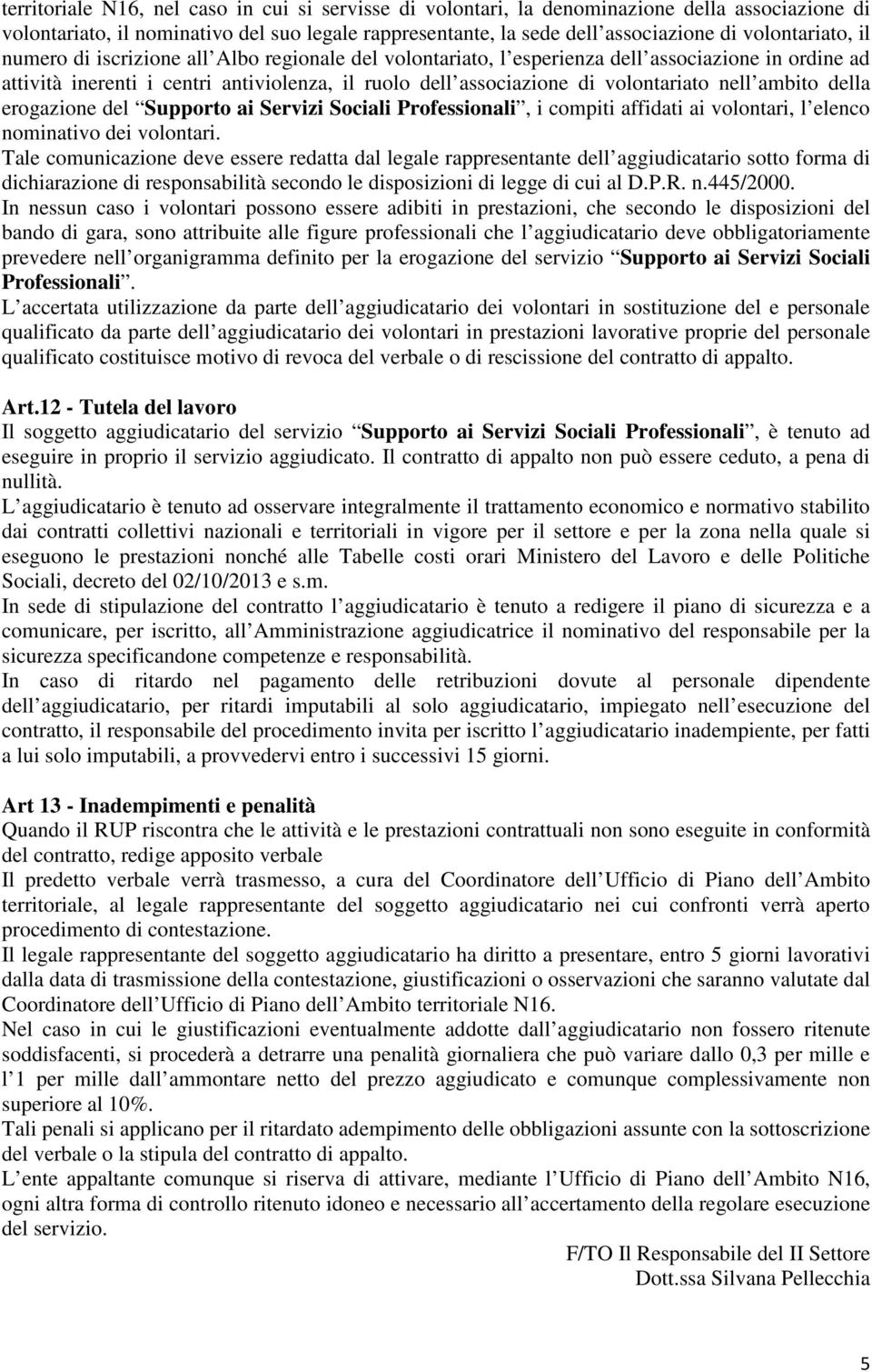 volontariato nell ambito della erogazione del Supporto ai Servizi Sociali Professionali, i compiti affidati ai volontari, l elenco nominativo dei volontari.