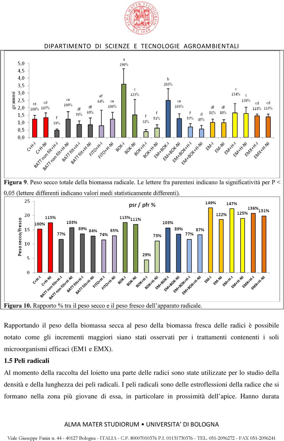 5 Peli radicali Al momento della raccolta del loietto una parte delle radici sono state utilizzate per lo studio della densità e della