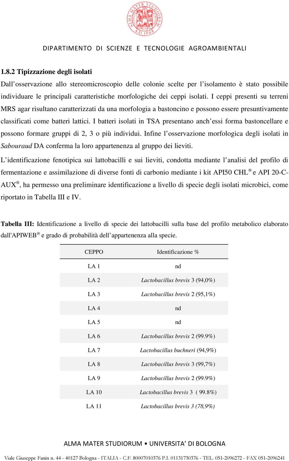 I batteri isolati in TSA presentano anch essi forma bastoncellare e possono formare gruppi di 2, 3 o più individui.