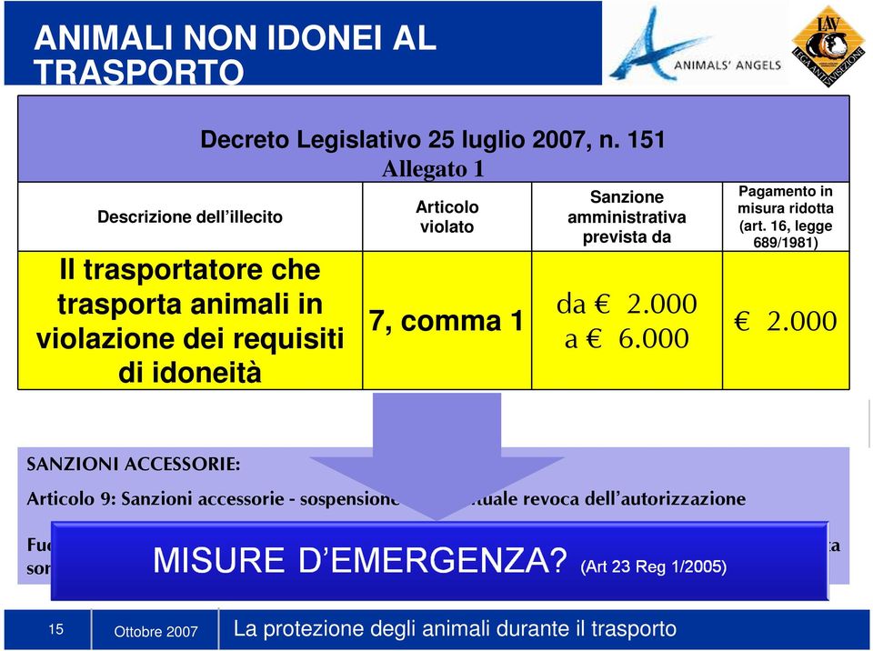 000 Pagamento in misura ridotta (art. 16, legge 689/1981) 2.