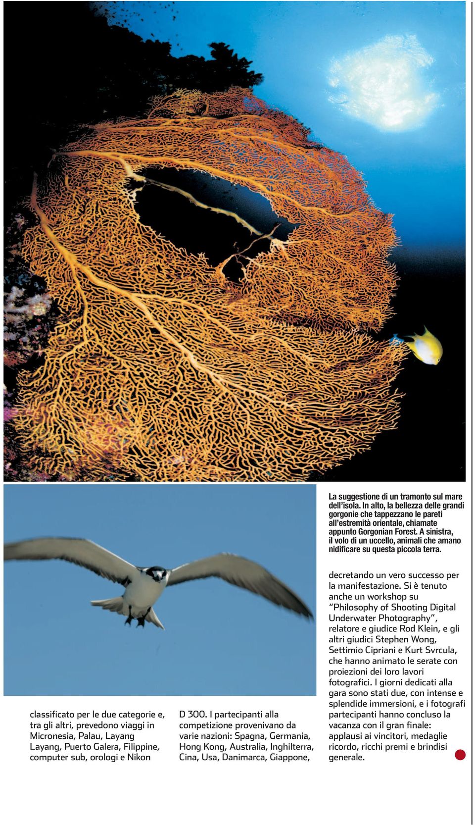 classificato per le due categorie e, tra gli altri, prevedono viaggi in Micronesia, Palau, Layang Layang, Puerto Galera, Filippine, computer sub, orologi e Nikon D 300.