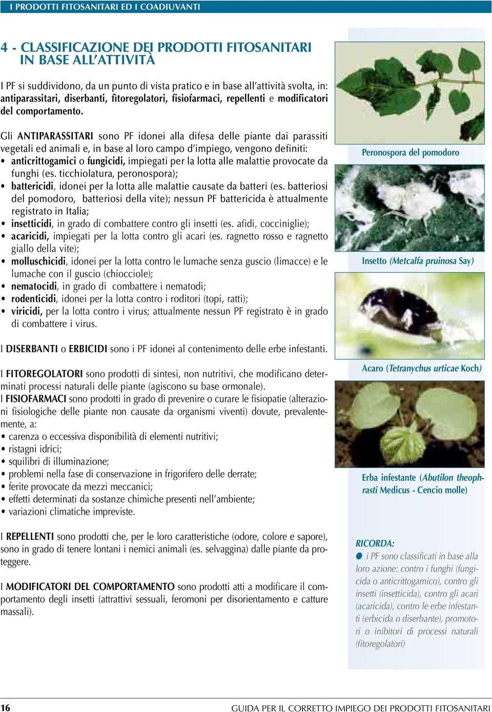 Gli ANTIPARASSITARI sono PF idonei alla difesa delle piante dai parassiti vegetali ed animali e, in base al loro campo d impiego, vengono definiti: anticrittogamici o fungicidi, impiegati per la