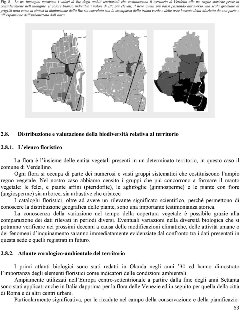 si nota come in sintesi la diminuzione della Btc sia correlata con la scomparsa della trama verde e delle aree boscate della Morletta da una parte e all espansione dell urbanizzato dall altra. 2.8.